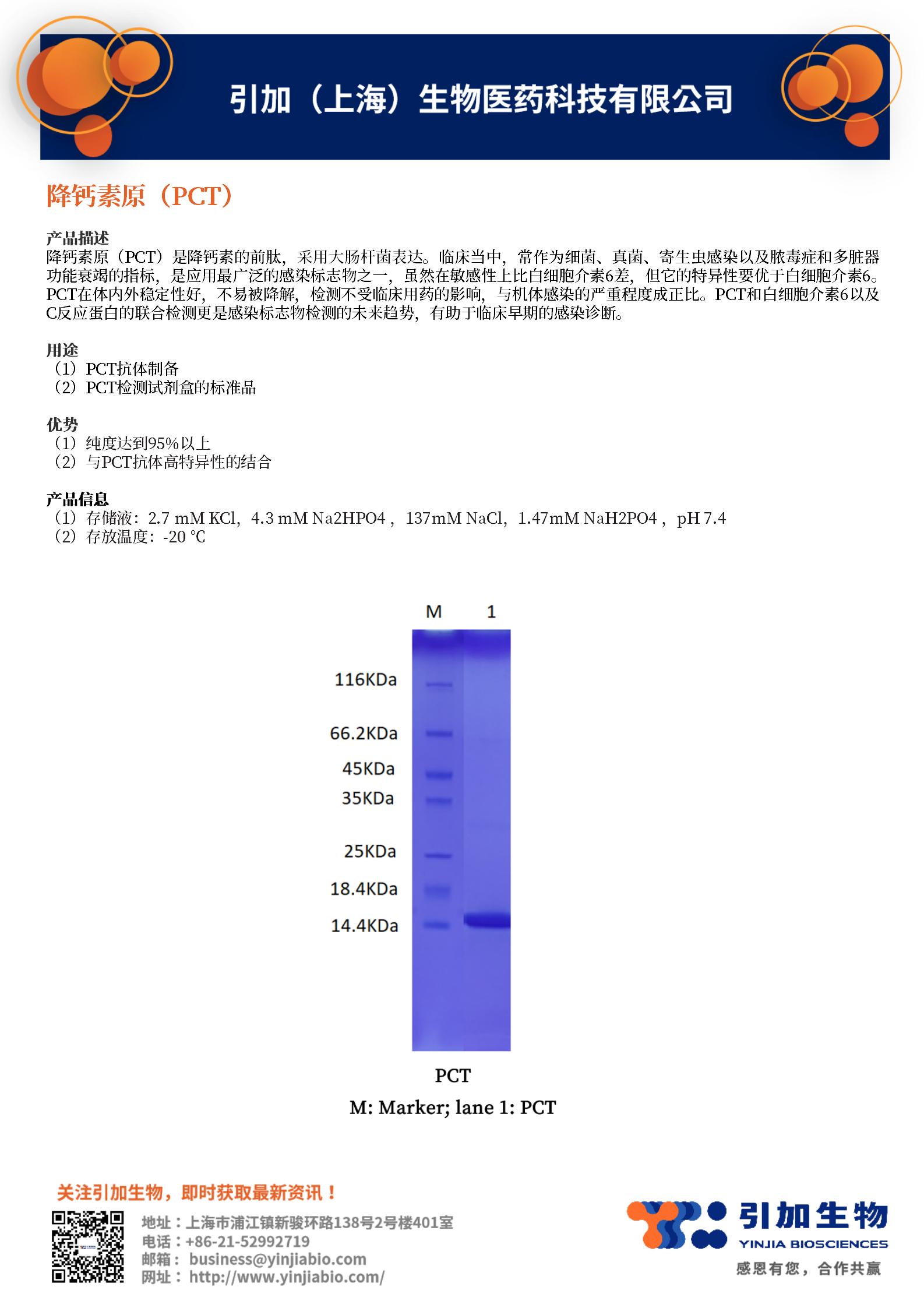 産(chǎn)品目錄介紹 2023