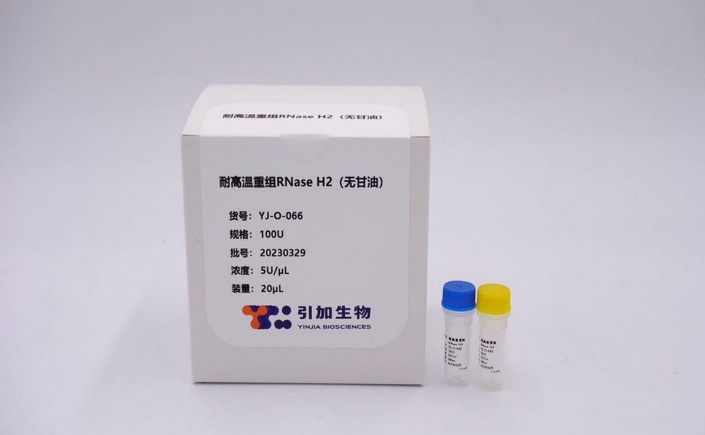 耐高溫重組RNase H2（無甘油）