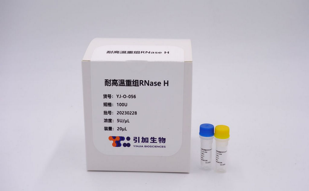 耐高溫重組RNase H