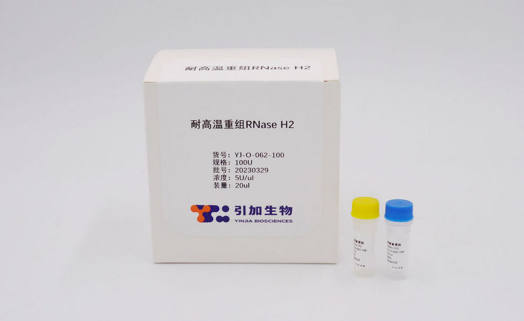 耐高溫重組RNase H2